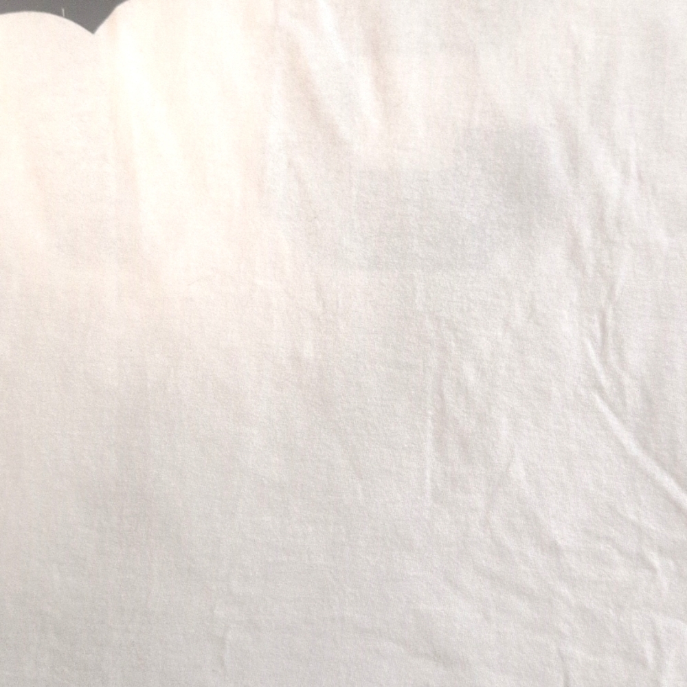 Vintage Biggie Graphic Tee - Picture 5 of 6